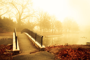 Fog and golden morning light with footbridge of pond