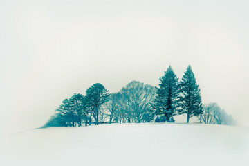 Wall Mural - Minimalist snowy winter landscape