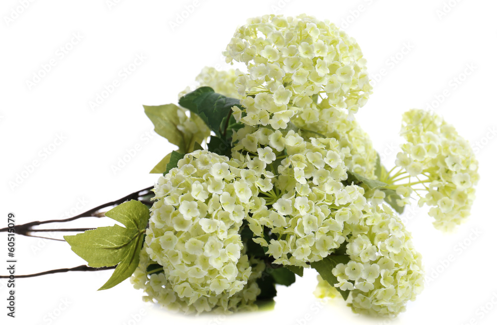 Bouquet of beautiful artificial flowers, isolated on white