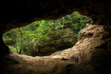 Green Trees View From The Inside Of The Cave