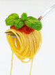 Spaghetti na widelcu z bazylią i sosem na białym tle.
