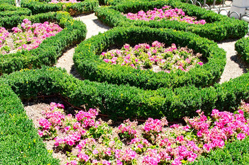 Wall Mural - flower bed in the summer park