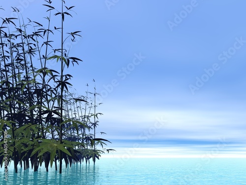 Naklejka samoprzylepna Bambusy - 3d render