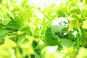 Wall Mural - glass globe in leaves