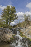 Fototapeta Natura - Wasserfall in Latium