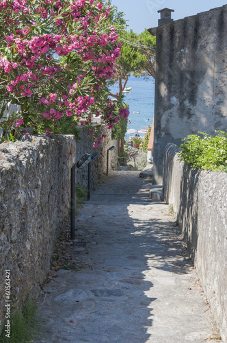 Fototapeta na wymiar Sant' Andrea, Badeort, Insel Elba, Küste, Gasse, Italien
