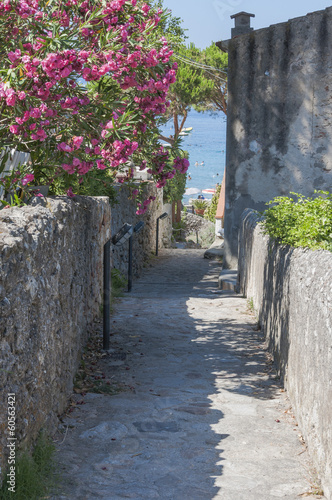 Naklejka - mata magnetyczna na lodówkę Sant' Andrea, Badeort, Insel Elba, Küste, Gasse, Italien