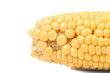© indigolotos - Tasty yellow ear of corn.