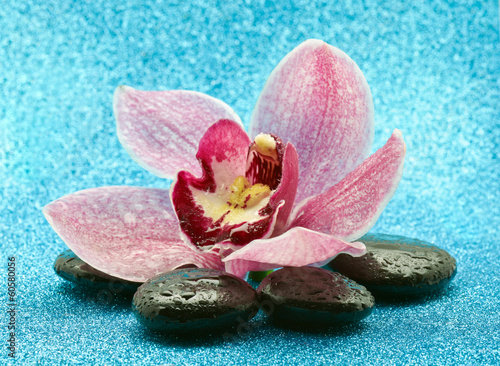 Naklejka na szybę Orchidea z kamieniami do spa