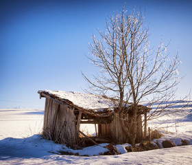 Canvas Print - wintertime