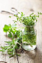 Canvas Print - fresh thyme and rosemary herbs in glass