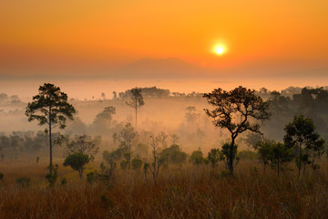 Sunrise over mountain in the forest