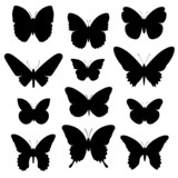 Fototapeta Pokój dzieciecy - Schmetterlinge Vektor Silhouette