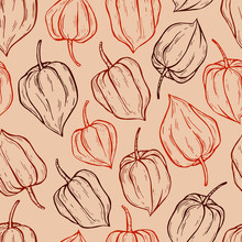 Vector Seamless Pattern Of Physalis