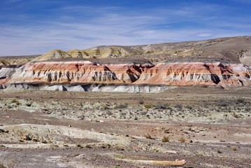 Wall Mural - Paysage en Patagonie