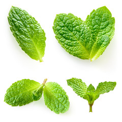 Wall Mural - Fresh mint isolated on a white. Collection