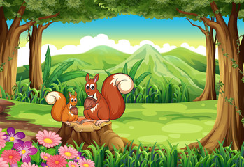 Wall Mural - Squirrels at the forest