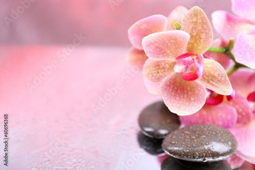 Tapeta ścienna Kompozycja z piękną kwitnącą orchideą z kroplami wody i