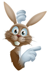 Wall Mural - Cartoon Easter rabbit pointing