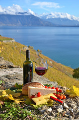 Wall Mural - Red wine, cheese, bread and cherry tomatoes. Lavaux, Switzerland