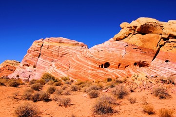Wall Mural - Vibrant patterned red rocks at Valley of Fire, Nevada, USA
