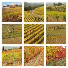 Wall Mural - series of images with tuscan vineyards in autumnal colors