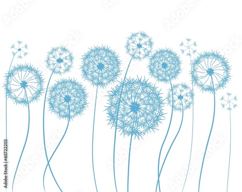 Naklejka na drzwi flower dandelion sketch