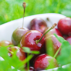 Wall Mural - Cherries in a ceramic bowl on green grass