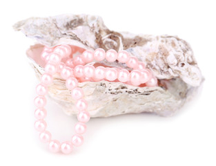 Wall Mural - Shell with pearls, isolated on white