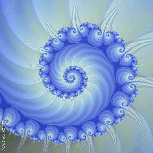 Tapeta ścienna Skorupa nautilus
