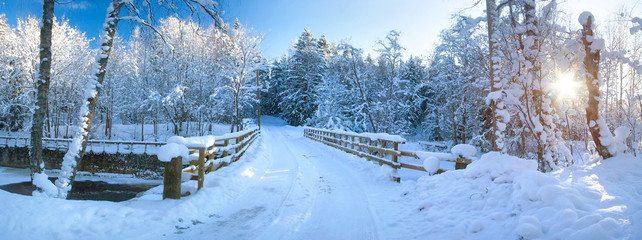 Canvas Print - Panoramic view to bridge in winter