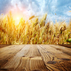 Wall Mural - wood textured backgrounds on the tuscany landscape