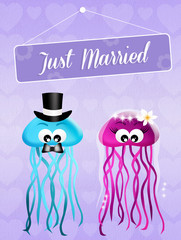 Wall Mural - Wedding of jellyfishes