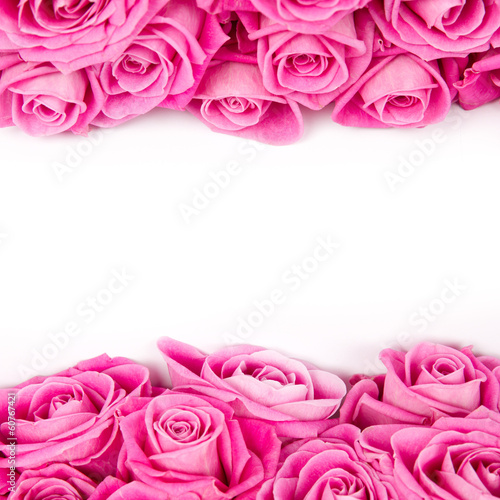 Obraz w ramie Rose blooms