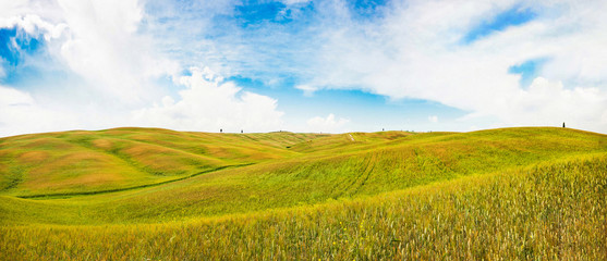 Wall Mural - panoramic view of rolling hills in val d'orcia, tuscany, italy