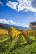 Paesaggio autunnale in Trentino Alto Adige