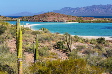 Wall Mural - baja california