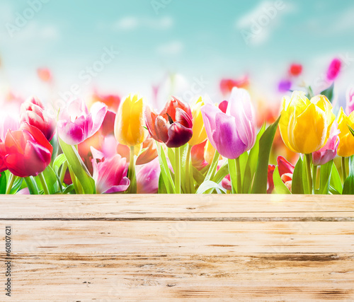 Plakat na papierze fotorealistycznym Kolorowe tulipany z rustykalnymi desek