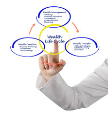 Poster - Wealth life cycle