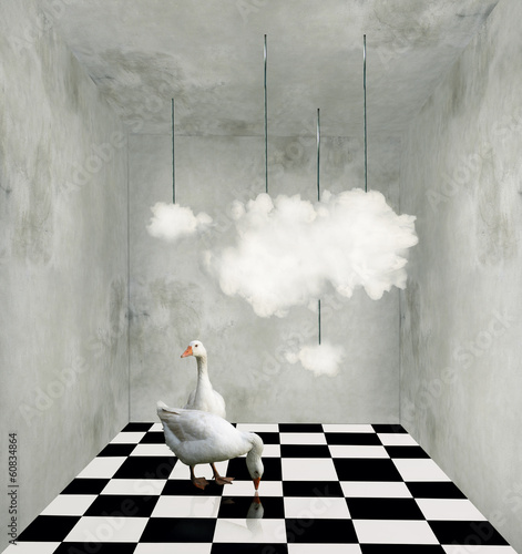 Cuadros en Lienzo Clouds and ducks in a surreal room