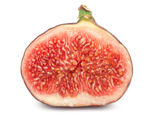 Canvas Print - Fig