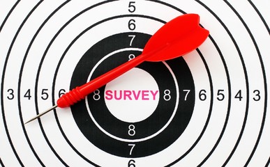 Survey target concept