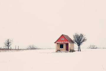 Canvas Print - Winter house