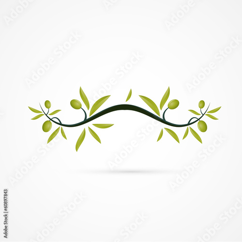 Branche D Olivier Stock Vector Adobe Stock