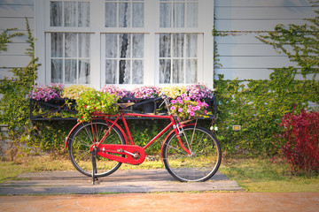 Red vintage bicycle