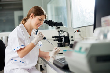 Wall Mural - Researcher Using Pipette In Laboratory