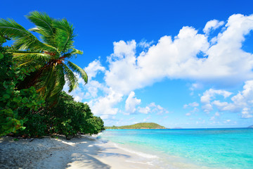 Wall Mural - Virgin Islands Beach