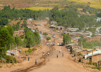 azezo, ethipia - november 23, 2008: village life, domestic build