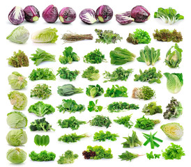 Wall Mural - Vegetables collection isolated on white background