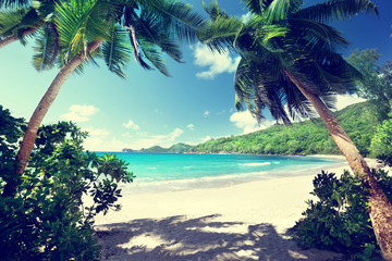Wall Mural - beach, mahe island, seychelles